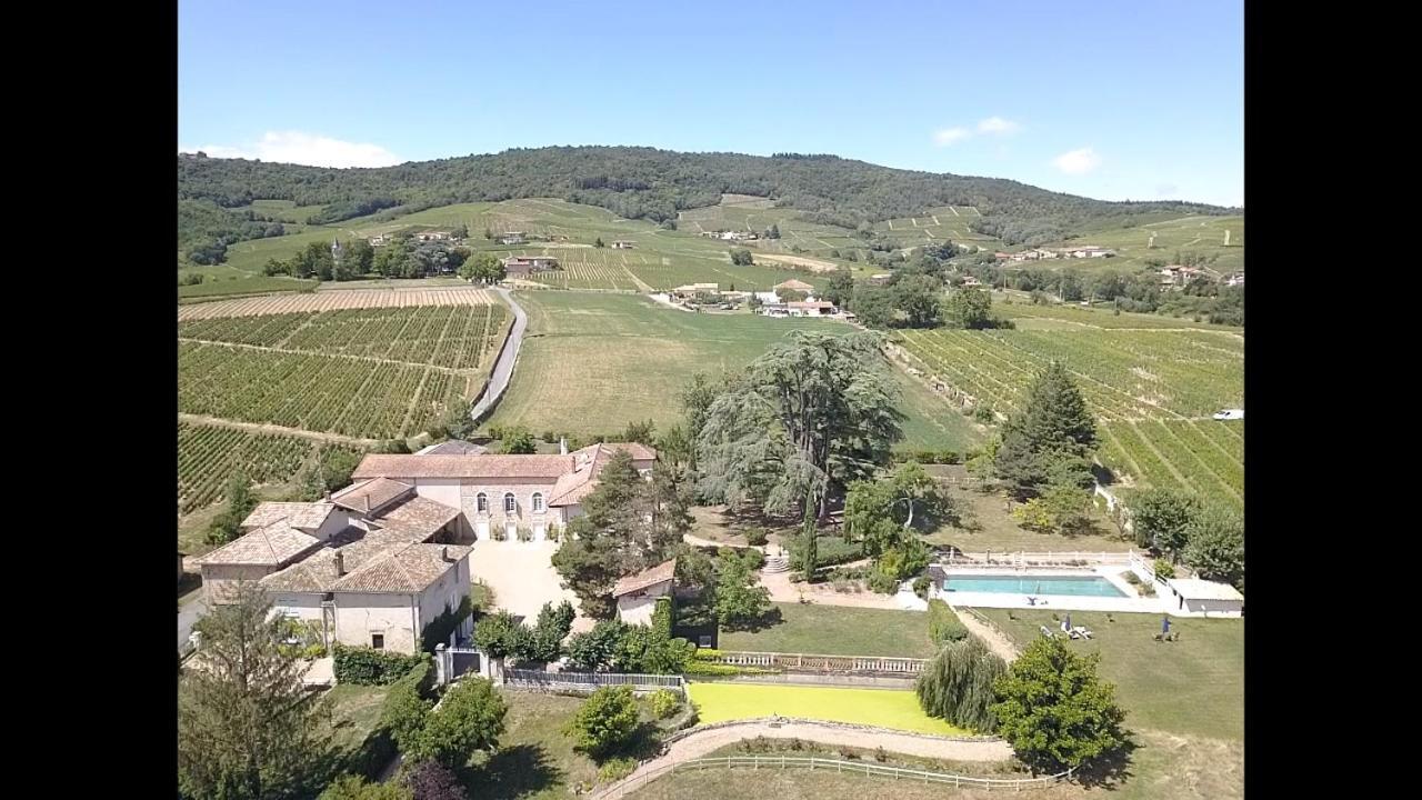 Domaine De La Baisse Villa Saint-Etienne-la-Varenne Kültér fotó